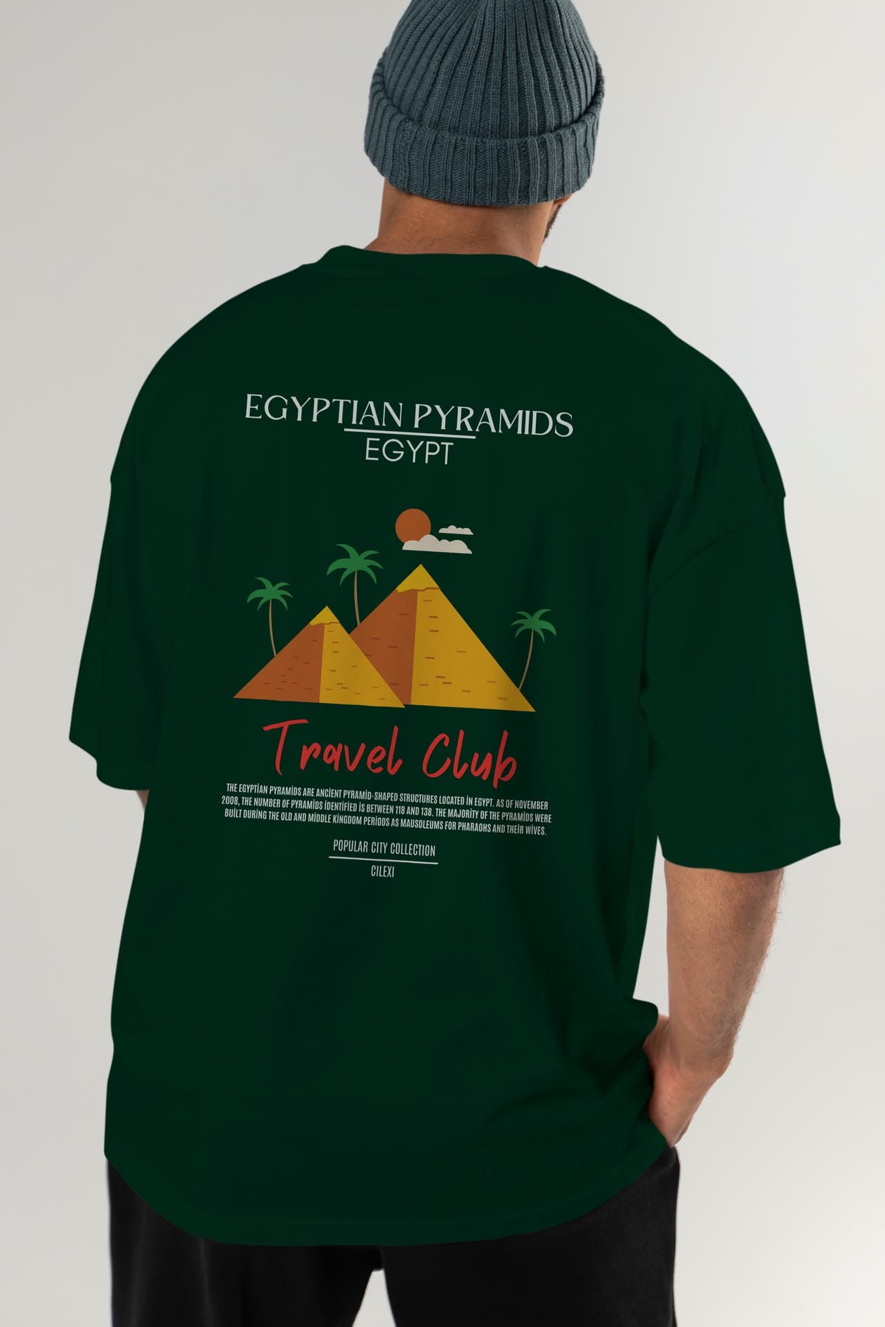 Egyptian Pyramids Egypt Arka Baskılı Oversize t-shirt Erkek Kadın Pamuk Bisiklet Yaka tişort