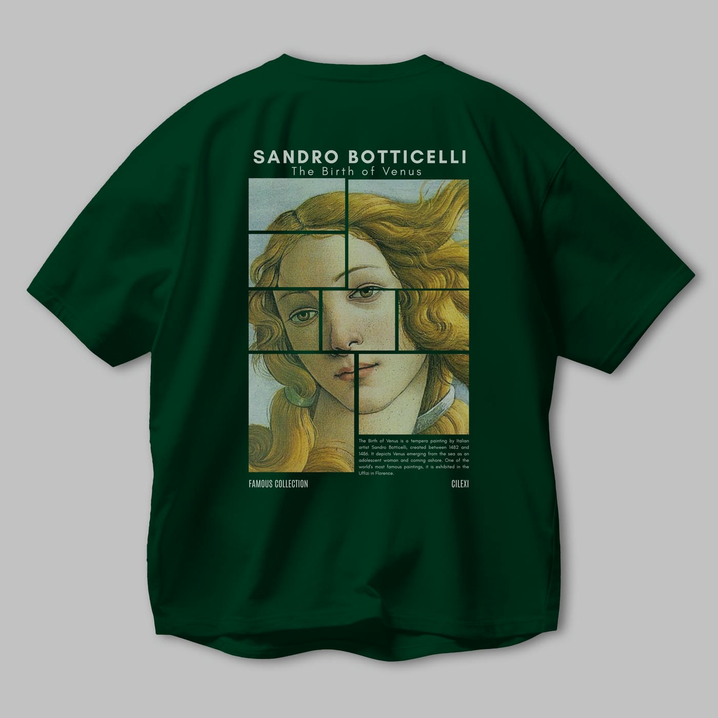 Sandro Botticelli Arka Baskılı Oversize t-shirt Erkek Kadın Bisiklet Yaka Pamuk tişort