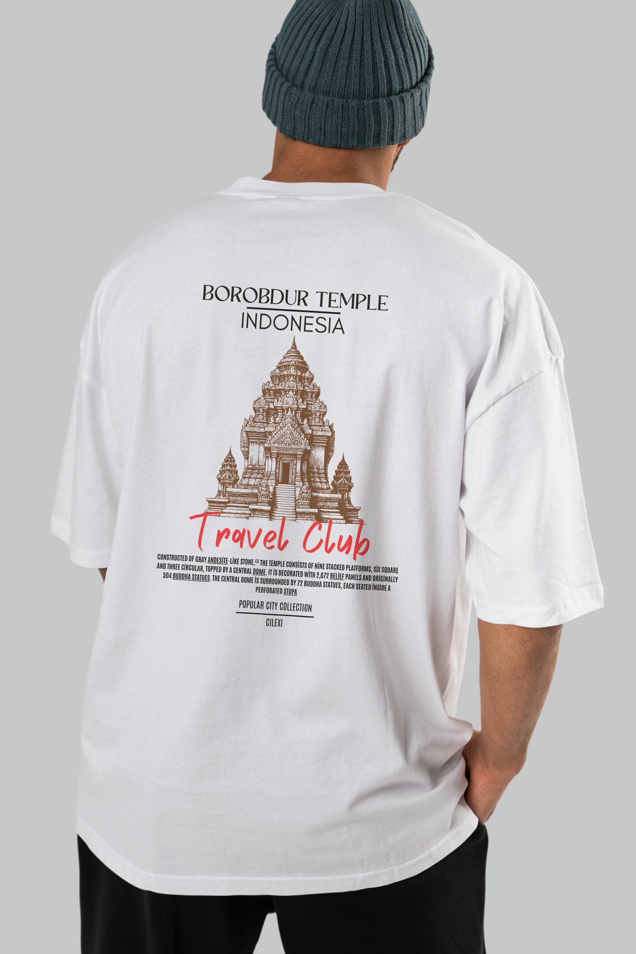 Borobdur Temple İndonesia Arka Baskılı Oversize t-shirt Erkek Kadın Pamuk Bisiklet Yaka tişort