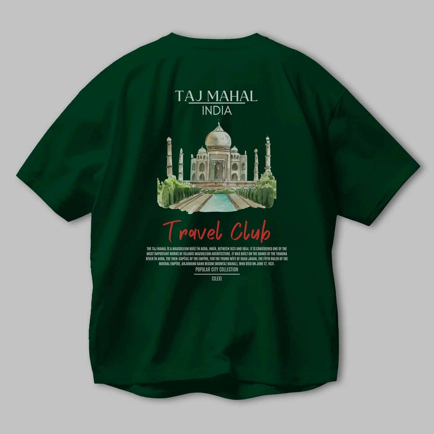 Taj Mahal İndia Arka Baskılı Oversize t-shirt Erkek Kadın Pamuk Bisiklet Yaka tişort