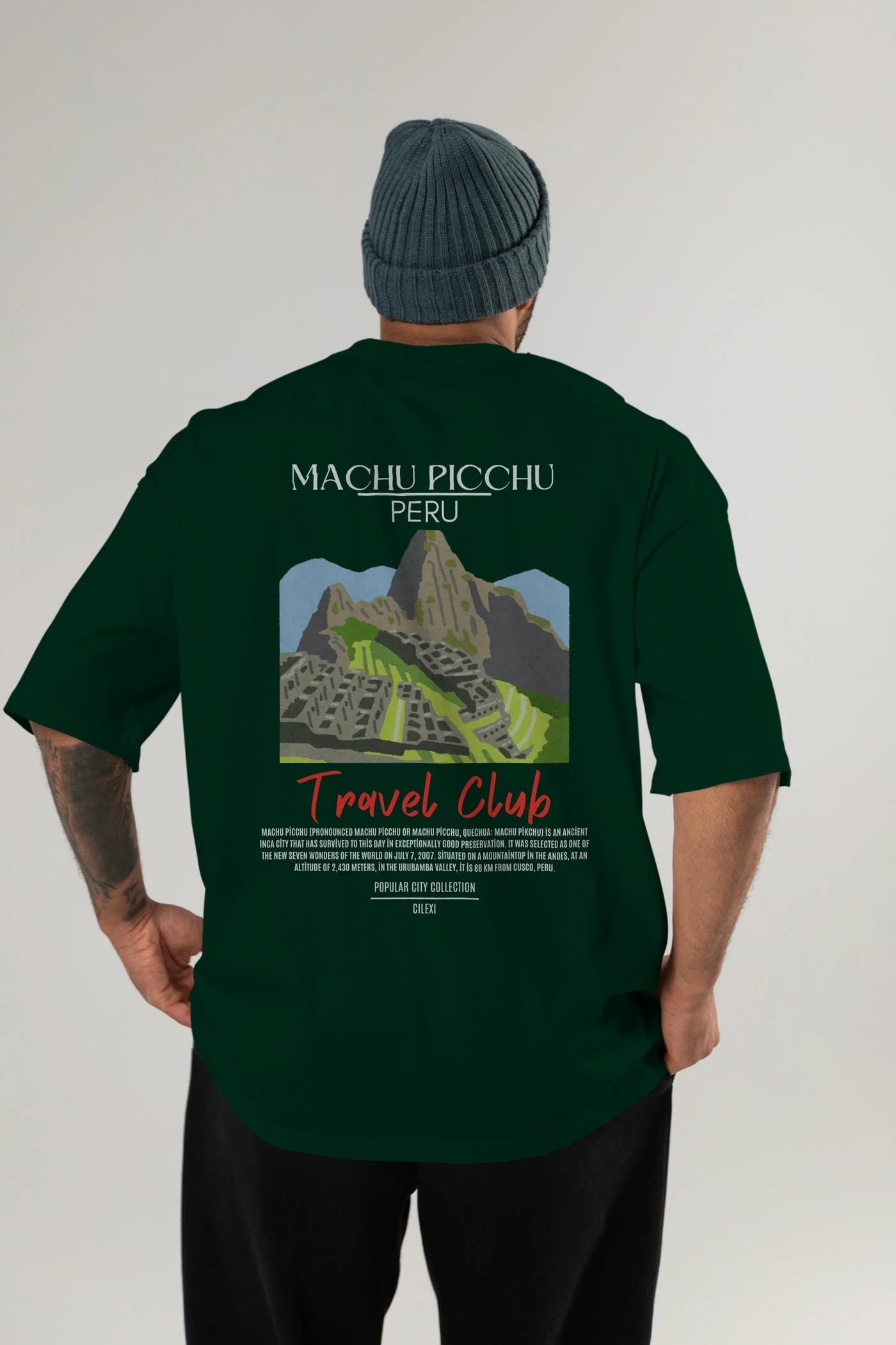 Machu Picchu Peru Arka Baskılı Oversize t-shirt Erkek Kadın Pamuk Bisiklet Yaka tişort