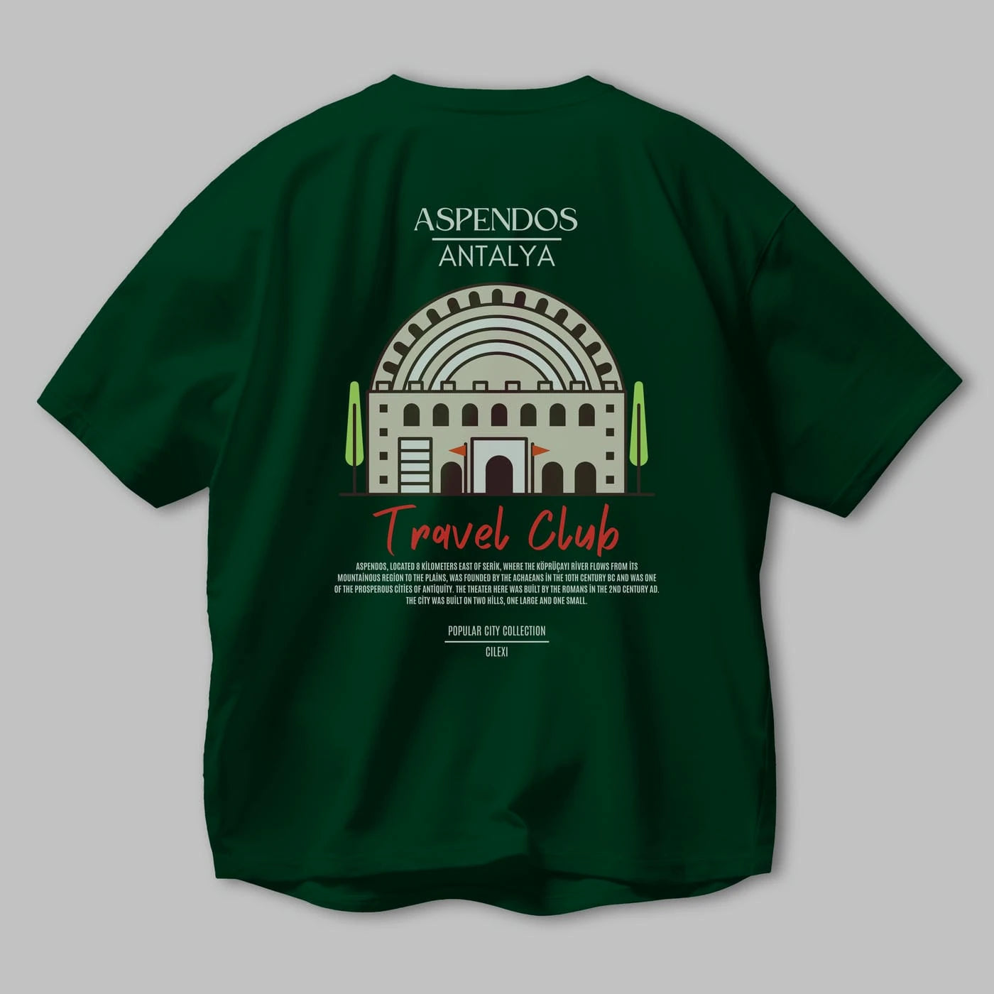 Aspendos Antalya Arka Baskılı Oversize t-shirt Erkek Kadın Pamuk Bisiklet Yaka tişort